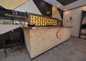 MİLLS HOTEL 2