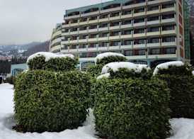 Hotel Bellevue - Metropol Lake Resort 5