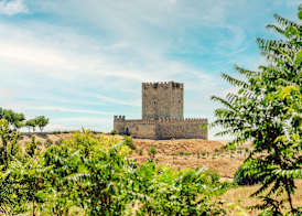abba Las Viñas Tiedra Hotel Rural 5