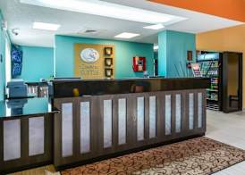 Comfort Suites Tampa - Brandon 5