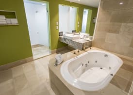 Holiday Inn QUERETARO ZONA KRYSTAL by IHG 4
