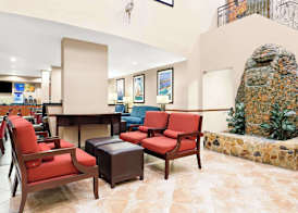 Comfort Suites Tampa Airport North 3