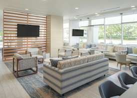 SpringHill Suites by Marriott Tampa Downtown 3