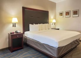 Quality Inn & Suites Houston Northwest - Cypress 3