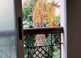 RIAD GREEN LOTUS 2
