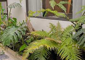 LoveHouse Homstay Sapa 4