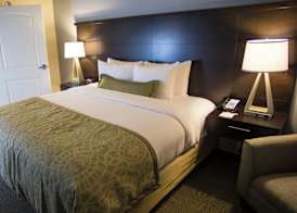 Staybridge Suites LEXINGTON by IHG 4