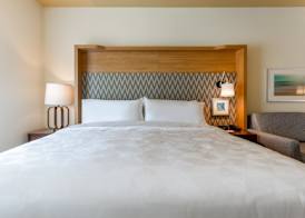 Holiday Inn & Suites CEDAR FALLS-WATERLOO EVENT CTR by IHG 3