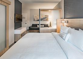 SpringHill Suites by Marriott Dallas McKinney 3