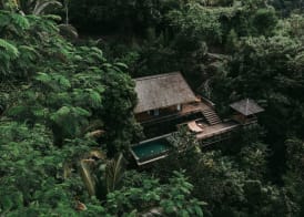 Buahan, a Banyan Tree Escape 4