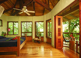 Playa Nicuesa Rainforest Eco Sanctuary 5