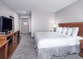 Country Inn & Suites by Radisson, Maumee - Toledo 4