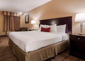 Best Western of Alexandria Inn & Suites & Conference Center 3