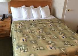 Four Points by Sheraton Toronto Airport East 5