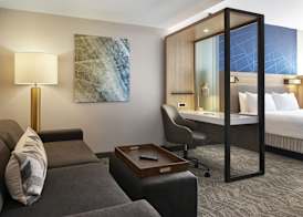 SpringHill Suites by Marriott Frederica 4