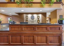 Comfort Inn Okemos - East Lansing 2