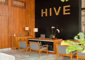 Hive Cancun by G Hotels 4