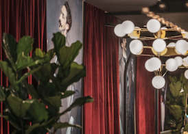 Dandy Hotel 3