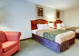 Econo Lodge Inn & Suites Gulfport Airport 5
