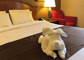 Americas Best Value Inn Lynnwood 5