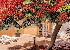 Apartamentos Horizonte 5