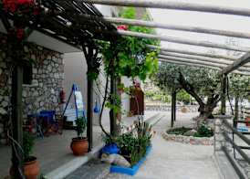 Aroma Stegna 3