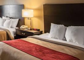 Quality Inn Hayti North 5