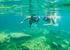 Sandos Caracol Nature Resort & Water Park All Inclusive 5