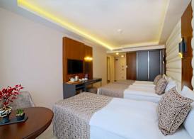 Hotel Black Tulip 4