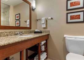 Comfort Suites Bridgeport - Clarksburg 5