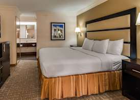 Best Western Inn & Suites of Macon 4