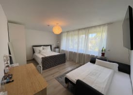 Deluxe Unterkunft in Bonn 4