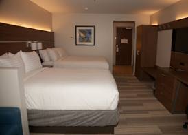 Holiday Inn Express & Suites DECATUR by IHG 4