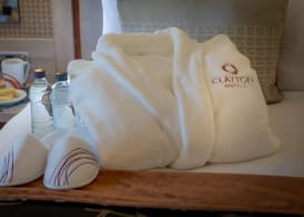 Clayton Hotel Ballsbridge 5