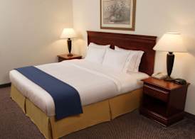 Holiday Inn Express & Suites DRAYTON VALLEY by IHG 2