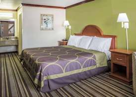 Super 8 by Wyndham San Marcos 5