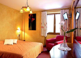 Hôtel A la Vignette - COLMAR-NORD 5