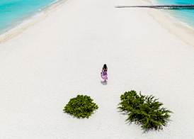 Niva Kuramathi Maldives 2