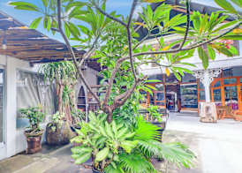 Collection O Sanur Near Bali Exotic Marine Park 3