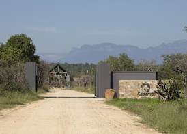 Kapama Private Game Reserve 3