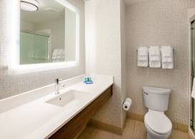 Holiday Inn Express & Suites HOUSTON - DOWNTOWN NORTH by IHG 3