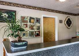 Econo Lodge Paw Paw 4