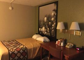 Super 8 by Wyndham Youngstown/Austintown 4