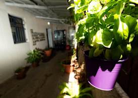 Inn TLV 2