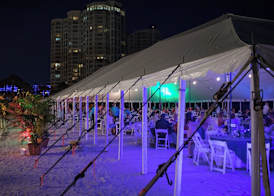Clearwater Beach Sheraton Resort on Sand Key 5