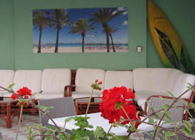 Hotel Palme 5