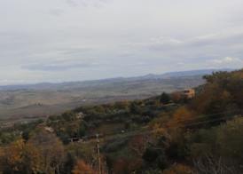 Azienda Agraria La Casella 4