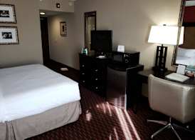 Wyndham Garden Dover 4