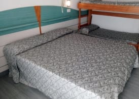 Hotel Alga 5