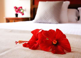 Hotel Rural Finca de La Florida 5